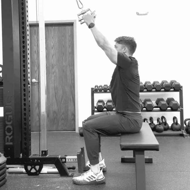 Neutral Grip Lat Pull Down is a basic pull movement to get started with.