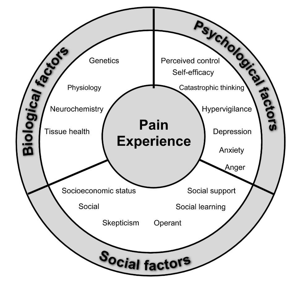 Diagram describing the Biopsychosocial model of the pain experience